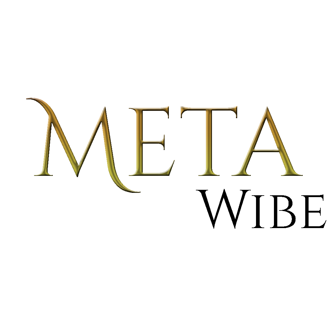 Meta Wibe - Best Digital Marketing Agency in Lahore