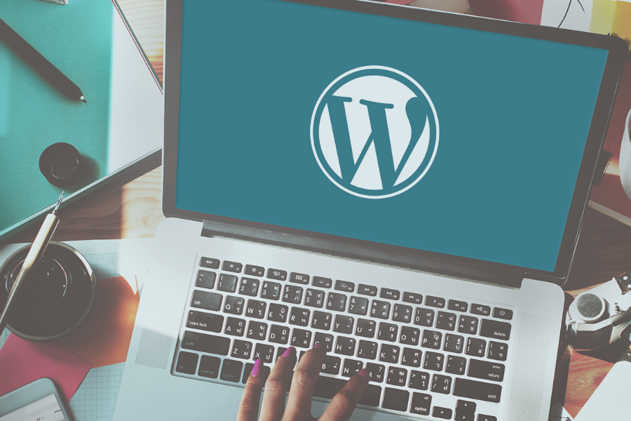 WordPress or Custom Website