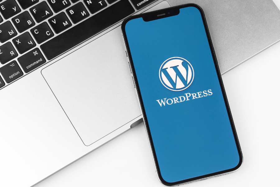 WordPress or Custom Website