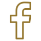 icons8-facebook-f-100
